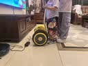 九号（Ninebot）儿童护具套装S码 平衡车滑板车自行车 体感车配件 实拍图