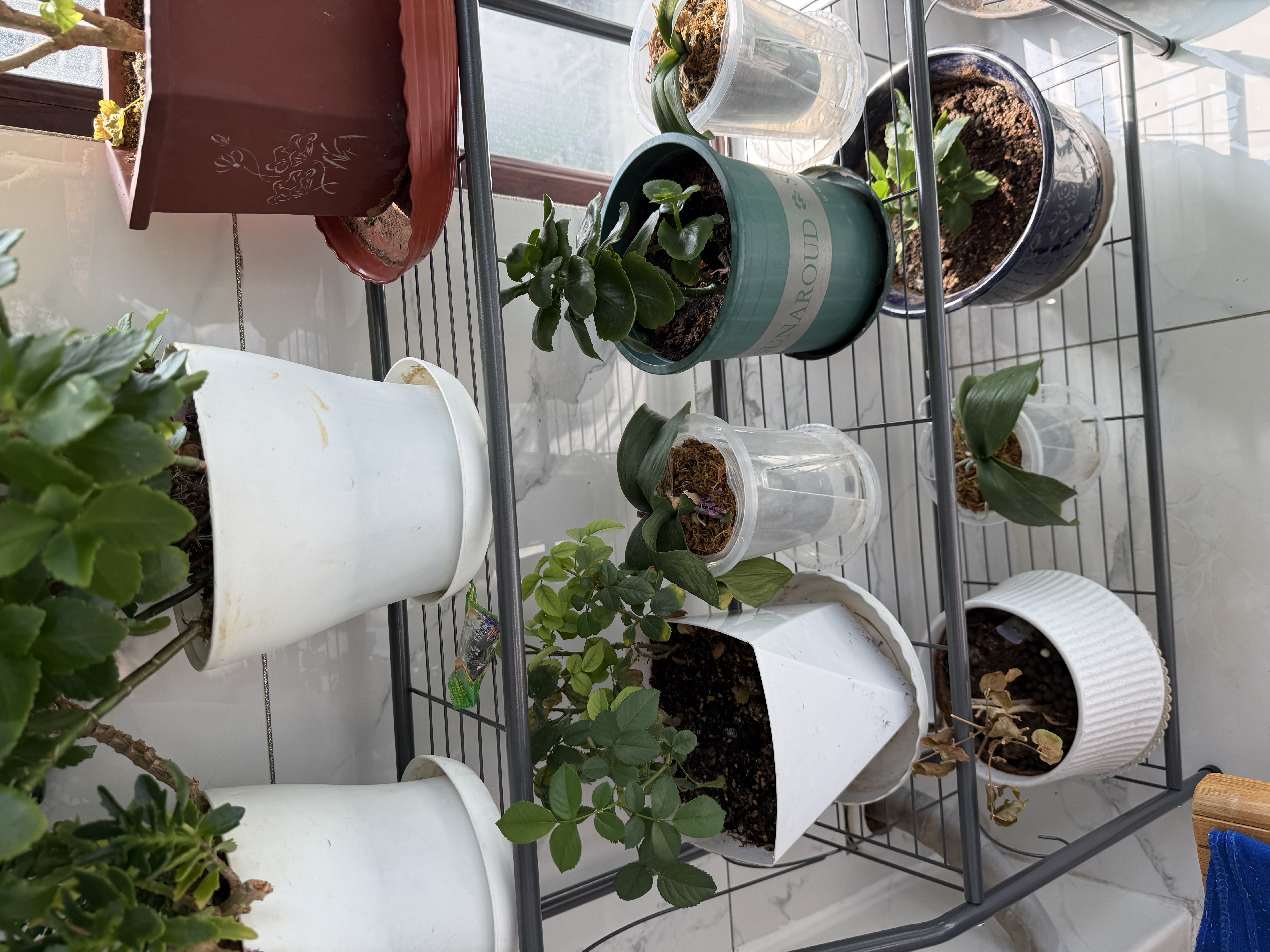 可移动花架子室内家用阳台多层阶梯式花架子客厅花盆架简易落地式 【标准款-三层】深灰闪银（长71CM 质量保证【承重力强】 实拍图
