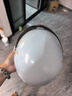 宜特（EETOYS）中号狗爪骨狗狗玩具零食吃玩结合磨牙耐咬洁齿棒宠物用品 实拍图
