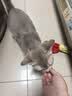 爱立方主食冻干生骨肉猫咪零食宠物主粮主食鸡肉冻干200g 实拍图