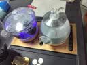 FUNORK全自动上水电热水壶 茶台烧水壶家用办公茶桌一体机茶几嵌入式茶具电茶炉套装 金色双加水清洁款 实拍图
