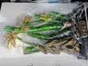欧梵普（oufanpu）新中式节节高升摆件乔迁之喜搬家升职礼物办公室客厅电视酒柜装饰 新中式节节高升摆件【礼盒装】 【寓意美好-百搭家居】 实拍图