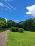 贝亲（Pigeon）畅吸实感第3代启衔奶嘴 宽口径奶嘴 3L号-2只装 15个月以上 BA139 实拍图