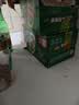 青岛啤酒（TsingTao）经典330ml*12罐整箱装 原麦汁浓度11.0°P 拉格啤酒 实拍图
