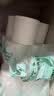 顺清柔无芯卷纸环保1800g卫生纸手纸厕所纸巾家庭实惠装原生木浆 5层 150g/卷*24卷 【共2提】 实拍图