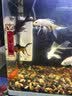 森森 小鲤鱼缸过滤器净水循环三合一内置水族箱过滤系统XQP-500F 6W 实拍图