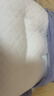 博洋家纺学生宿舍枕芯透气柔软儿童枕芯学生枕头单只装46*65cm大款 实拍图