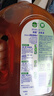 滴露（Dettol）消毒液 灭活流感HPV16病毒消毒水 除菌洗衣家居除螨杀菌预防流感 【杀菌除螨】松木1.8L 实拍图