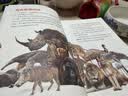 HOW&WHY美国经典少儿百科知识全书（全10册）未删减版 樊登推荐 迪士尼、凯迪克金奖绘画团队 荣获美国国家出版奖、全国优秀科普作品 实拍图