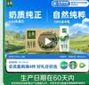 伊利金典纯牛奶 250ml*12盒 3.6g乳蛋白原生高钙 礼盒装 4-6月 实拍图