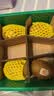 佳沛（zespri）新西兰  阳光金奇异果6粒装 单果约88-103g 猕猴桃水果 实拍图
