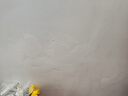立邦补墙膏墙面修复防霉抗菌墙面修补膏堵洞腻子膏白色2.5kg 实拍图