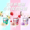 五羊牌五羊杯混合味冰淇淋家庭装73g*6杯 莲花杯雪糕冰激凌冷饮 实拍图