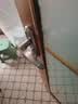 虎顿（HOTUN）卫生间门锁无钥匙厕所浴室锁洗手间锁舌卫浴执手通用型孔距125 实拍图