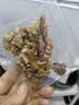 西域美农新疆温宿核桃仁600g 原味果仁 高蛋白无漂白生核桃休闲零食独立装 实拍图
