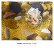阔庭（KUOTING）鱼缸桌面透明生态鱼缸客厅水族箱白色 实拍图