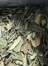 品品香福鼎白茶 简语2025年新茶寿眉3斤装大份量收藏口粮茶叶自己喝 【超值口粮】2025一级寿眉 1500g*1盒 3斤收藏装 实拍图