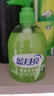 蓝月亮洗手液抑菌99.9%300g*12瓶整箱 芦荟泡沫丰富儿童办公室商用7.2斤 实拍图
