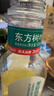 农夫山泉东方树叶菊花普洱500ml*15瓶无糖茶饮料0糖0脂0卡饮品整箱装 实拍图