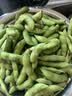 京鲜生(健康食材)0添加低脂肪现摘净重2斤新鲜毛豆颗粒饱满 源头直发 实拍图