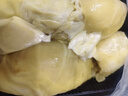 璐亦泰国金枕冷冻榴莲肉液氮冷冻保鲜方便即食自然树熟甜糯批发包邮 泰国A级金枕榴莲肉【净重500g*3】自然树熟 实拍图