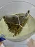 西湖绿茶龙井 冷泡茶包独立袋泡茶叶办公茶包伴手礼物3g*10包 实拍图