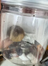 云山半独头黑蒜250g 山东特产金乡紫皮黑大蒜头 即食煲汤 深度发酵 实拍图