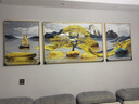 Sixpoetry 客厅装饰画现代简约沙发背景墙壁画轻奢三联晶瓷画大气高档挂画 福禄纳财（铝合金外框） 镶钻画左右60*80+中间120*80亮面 实拍图