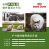 皇家猫粮 成猫猫粮 户外成猫 O30 通用粮 12月以上 4KG 实拍图