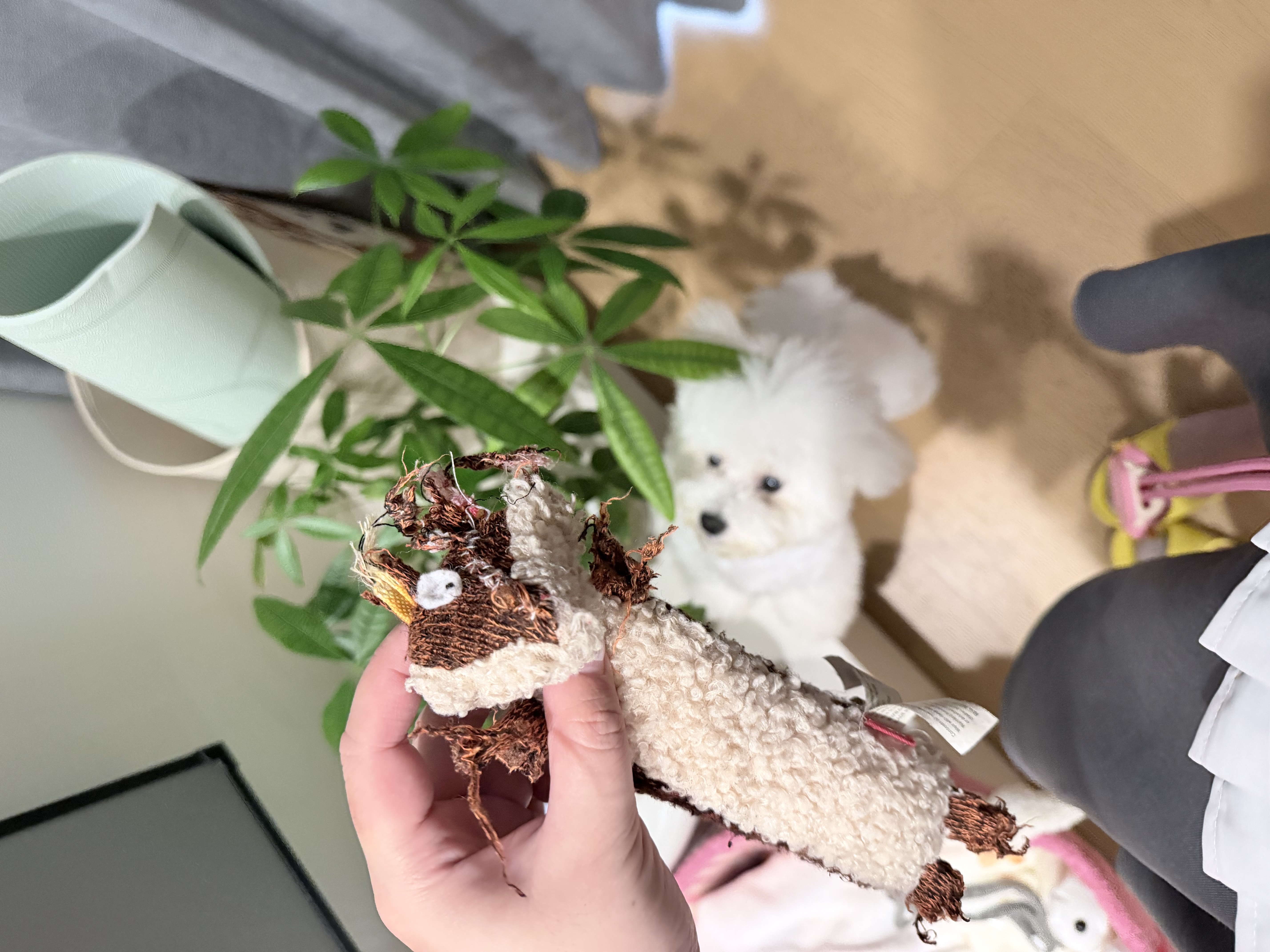 贵为（GiGwi）狗玩具发声毛绒磨牙耐咬洁牙狗狗玩具中小型犬幼犬宠物玩具 实拍图