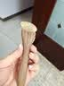 采药师绿檀小羊蹄拨筋棒脸部专用眼部面部全身通用羊角刮痧板肩颈椎按摩 实拍图