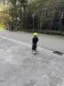 酷骑儿童滑板车Q1溜溜车折叠款重力转向发光轮3-10岁生日礼物酷骑绿 实拍图