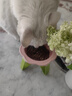 路斯（Luscious）猫粮肉松夹心鲜肉无谷全价益生菌成猫幼猫通用猫粮 【肉松夹心】鲜肉无谷猫粮4斤 实拍图