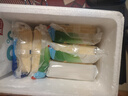 安佳(Anchor)新西兰进口 切达干酪奶酪芝士片250g 烘焙原料健身 实拍图