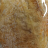 远洋烤鱼片实惠装300g大连特产低脂即食零食鱼干片高蛋白低卡解馋孕妇 实拍图