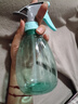 喷壶浇花浇水喷雾器气压式喷水壶家用园艺养花500ml 南瓜喷壶透蓝【1个装】 实拍图