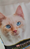 冠能猫粮室内成猫猫粮10kg 全价猫粮 添加膳食纤维 控制毛球 实拍图