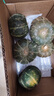 京鲜生 山东贝贝南瓜净3斤(粉糯瓜)中果300+蔬菜辅食板栗味源头直发 实拍图