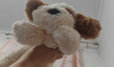 名创优品（MINISO）趴姿小号软趴趴小狗毛绒玩偶儿童玩具公仔抱枕生日礼物女 棕色 实拍图