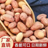 朱氏朱福记【新鲜抢1袋】25年新五香花生米山东特产烤熟蒜香奶香原味下酒250 【五香花生】250g*2袋 实拍图