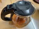 梦庭玻璃茶壶 耐热玻璃大容量花草茶壶 304不锈钢过滤内胆1500ml 实拍图