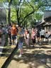 速干衣运动弹力纯色基础短袖t恤夏季新款男女同款 卡其色 L 实拍图