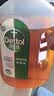 滴露（Dettol）消毒液衣物消毒水1.8L*2 洗衣除菌家居除螨杀菌 灭活HPV16病毒 实拍图