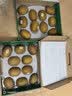 佳沛（zespri）新西兰阳光金奇异果10粒巨大果单果146-175g 猕猴桃水果礼盒 实拍图