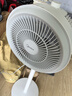 美的（Midea）【暴风循环】空气循环扇大风量电风扇落地扇轻音家用台式摇头卧室节能小风扇柔风轻羽扇 FGA24TQ 实拍图