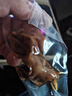 邵傅斋鸡胗开袋即食卤味肉类熟食麻辣鸡肫无敌下酒菜解馋小零食500g 实拍图