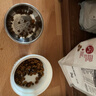 皇家猫粮 成猫猫粮 营养均衡 F32 通用粮 1-7岁 2KG 实拍图