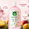 滴露（Dettol）香氛自然衣物消毒液48H留香洗衣除臭儿童可用消毒水杀菌除螨1L*2 实拍图