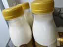 每日鲜语鲜牛奶 A2β-酪蛋白鲜牛奶185ml*6 巴氏杀菌乳 低温鲜奶 实拍图