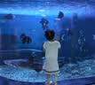 巴布豆儿童拖鞋男女童宝宝软底居家浴室夏季凉拖鞋 粉色 150码 实拍图
